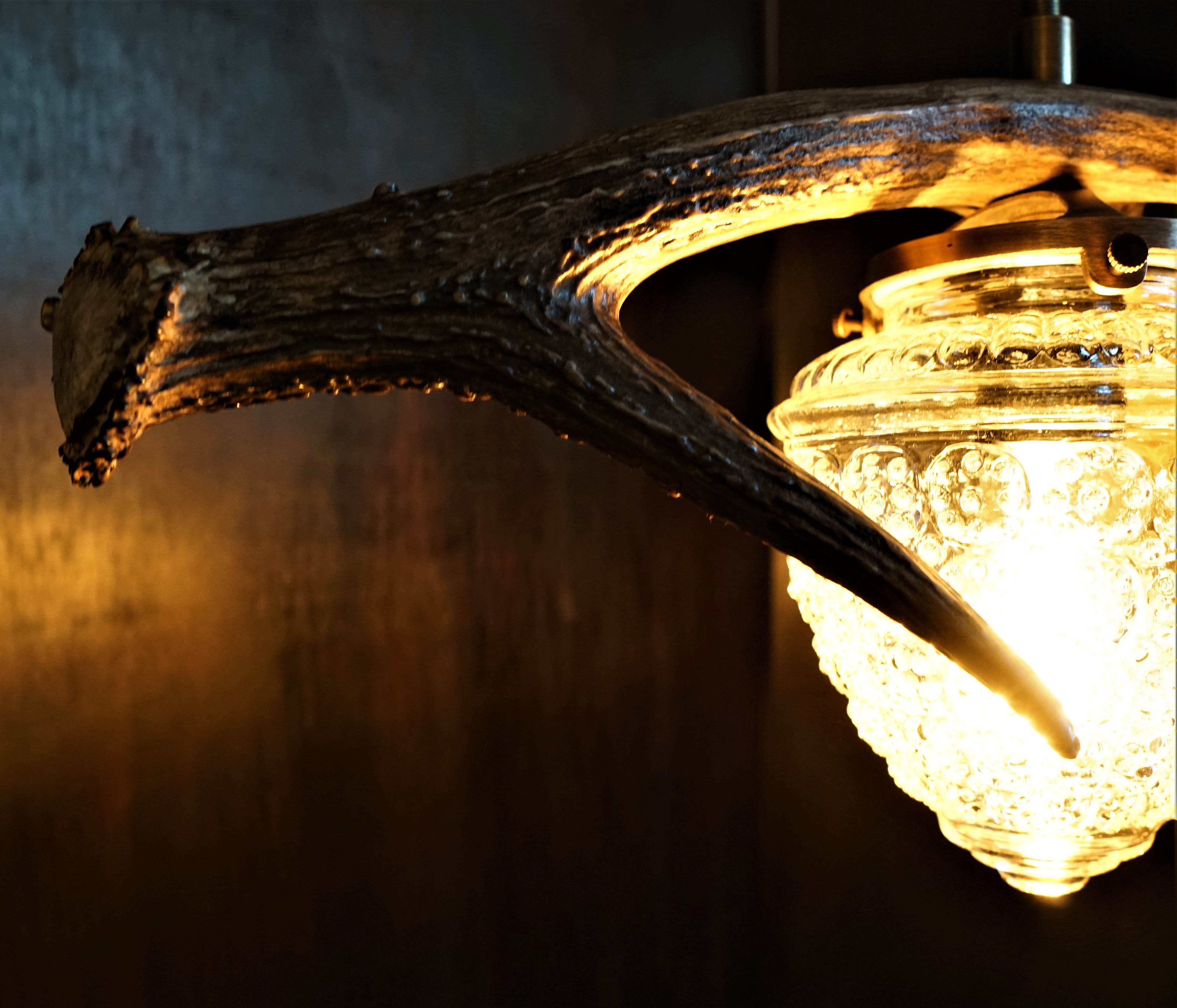  Montana natural deer antler pendant light
