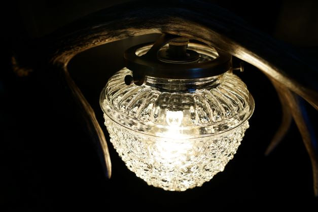  Montana natural deer antler pendant light