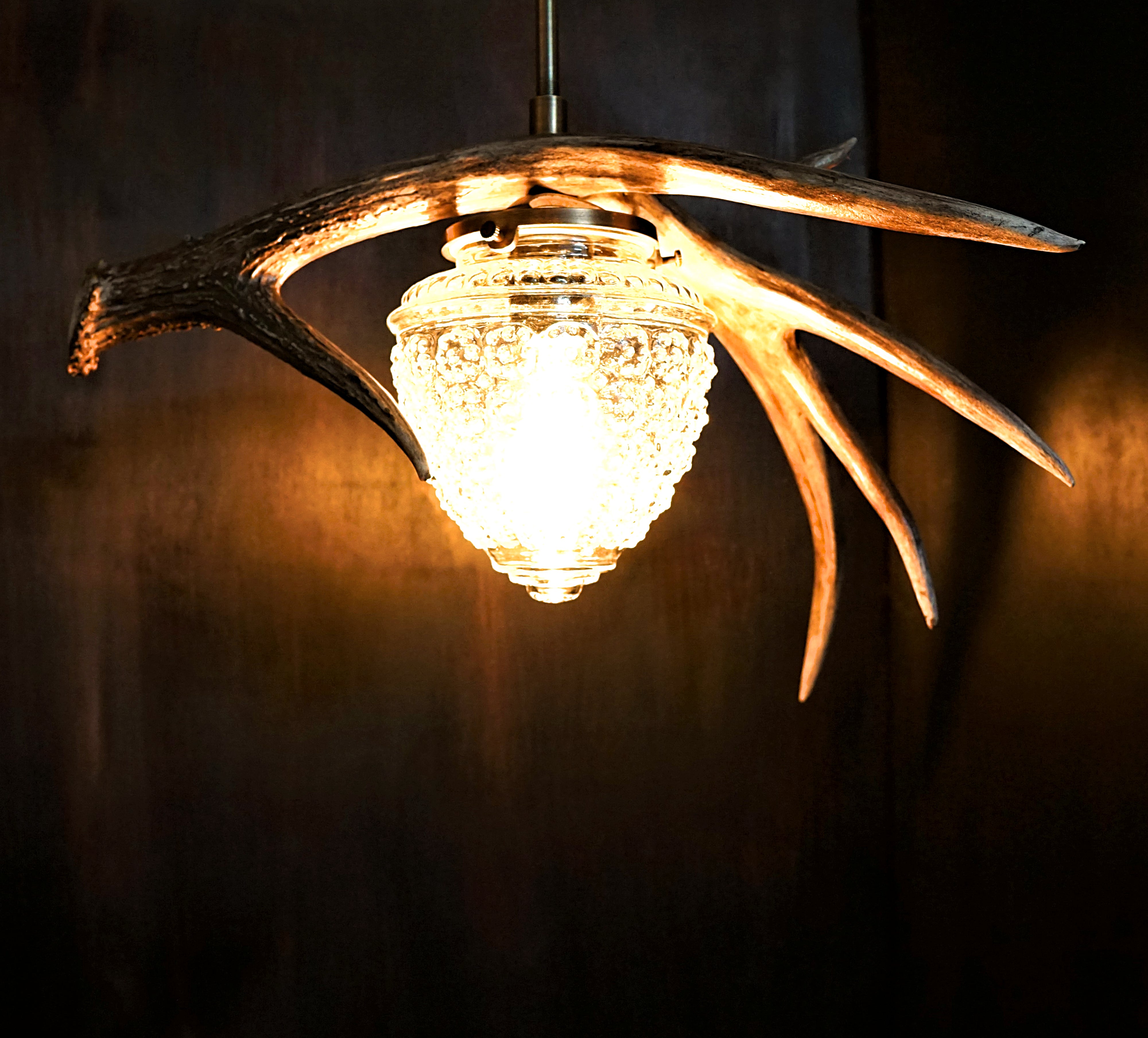 Custom antler pendant lighting