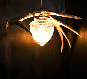 Custom antler pendant lighting