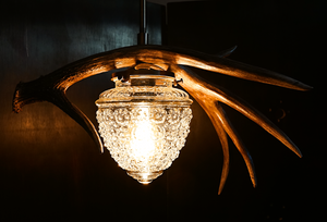 Natural deer antler pendant lighting