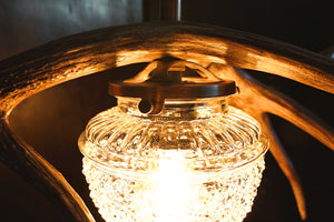 Custom natural antler pendant light