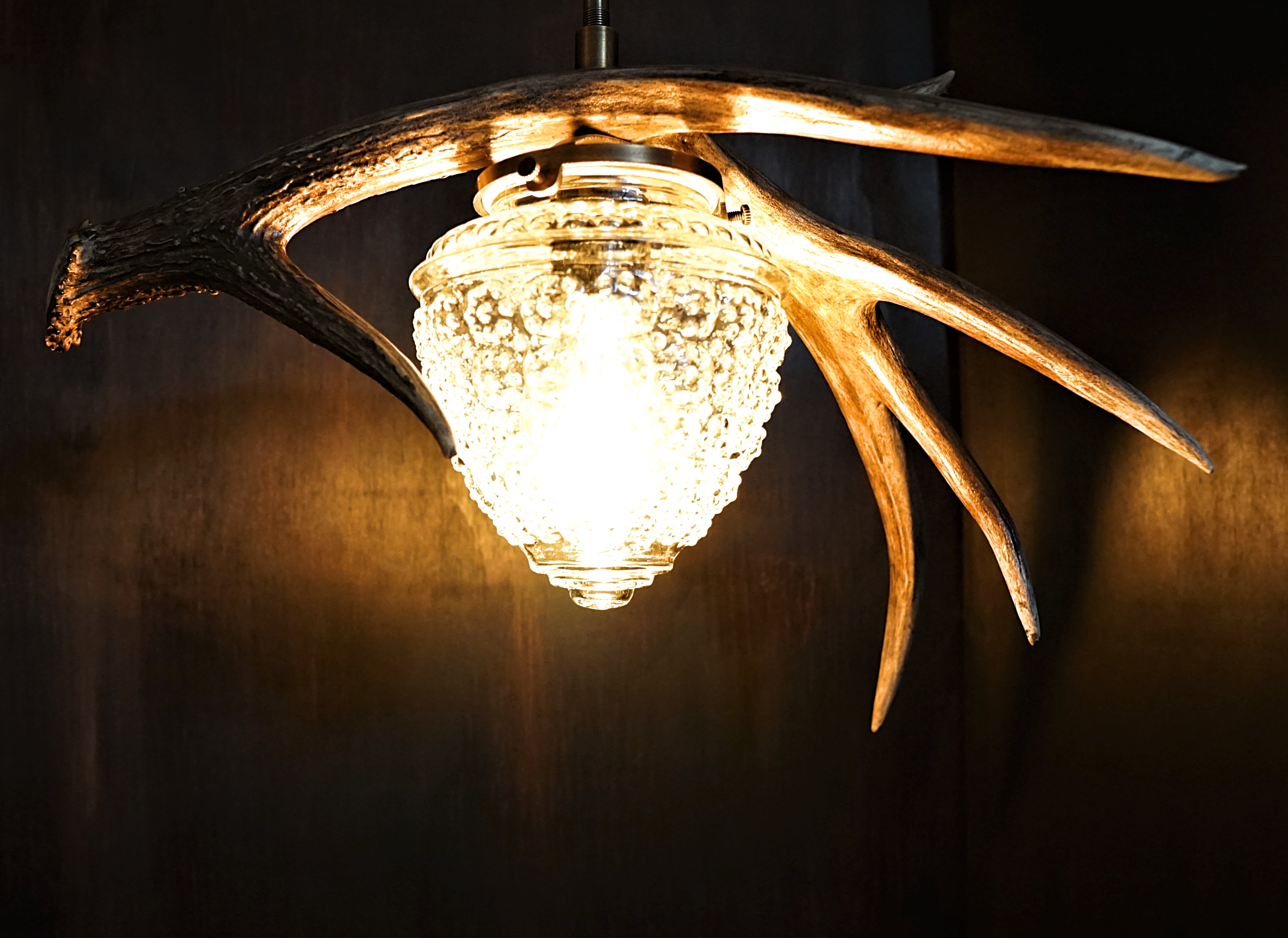 Custom Montana natural deer antler pendant light