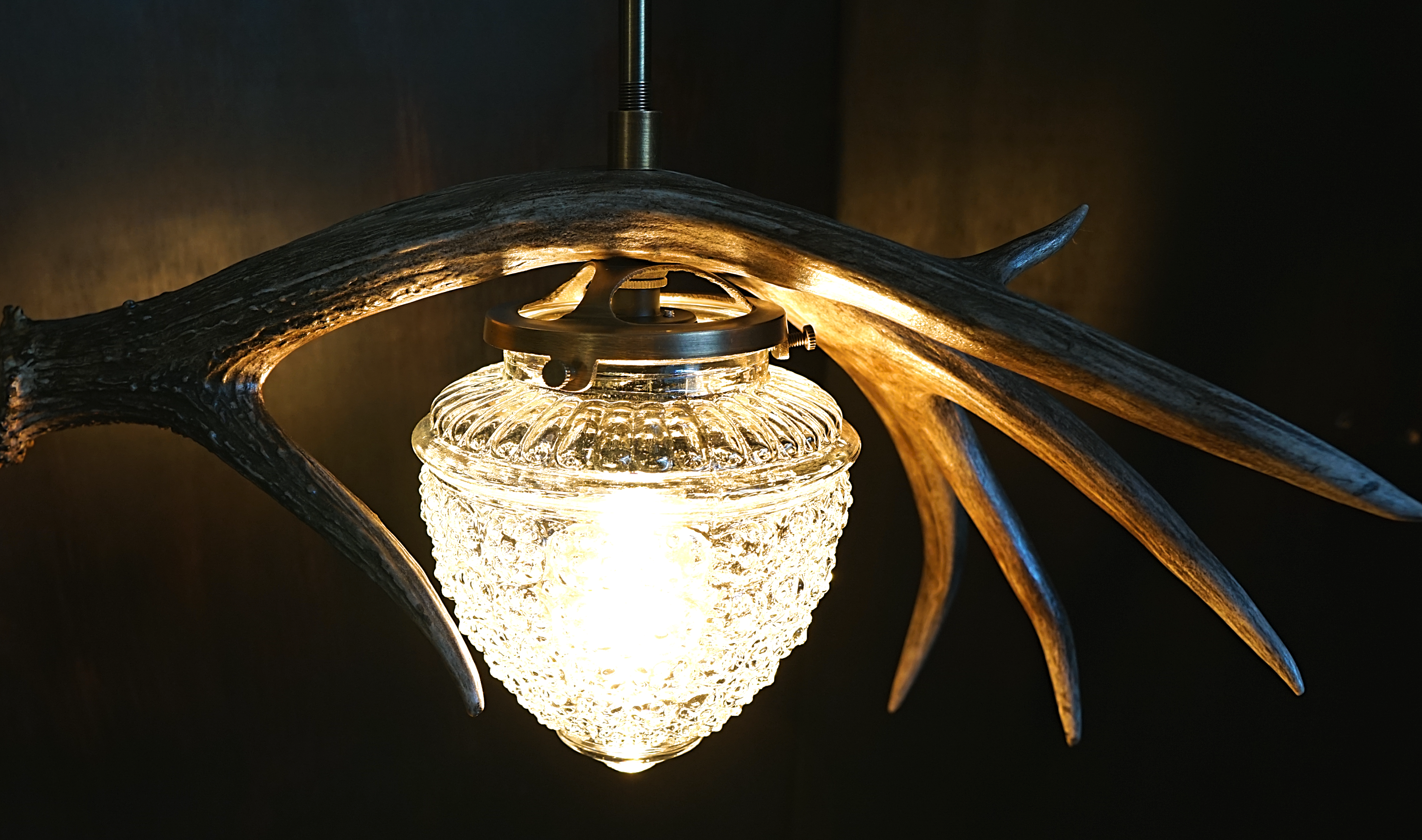 Custom natural antler pendant light